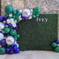 BOXWOOD BALLOON BACKDROP PACKAGE