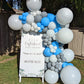 GRAB N' GO BALLOON GARLANDS
