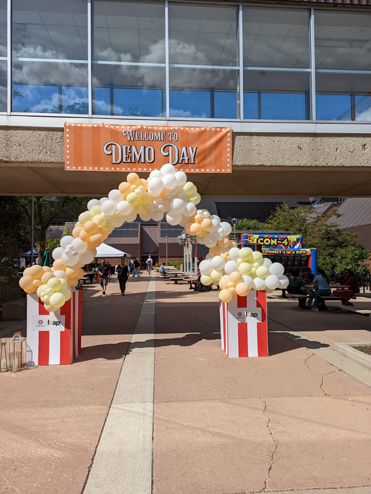 BALLOON ARCHWAY