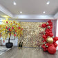 SHIMMER WALLS
